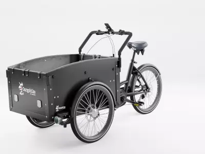 3D Model of Cargobike DeLight Low-poly 3D model