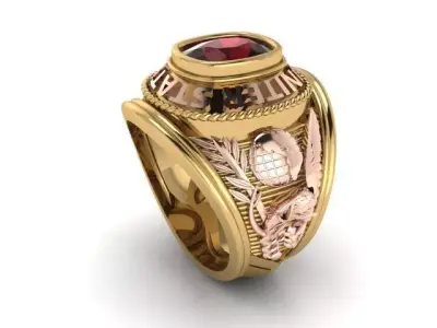 ring amy 3D print model