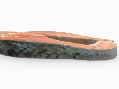 Salmon piece of 3D model