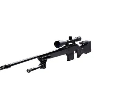 Creedmoor Accuracy rifle  3D model