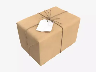 Parcel wrapped in kraft paper 3D model