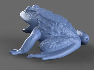 Frog Toy 3D model