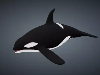 Killer Whale Orca - Rigged Free low-poly 3D model