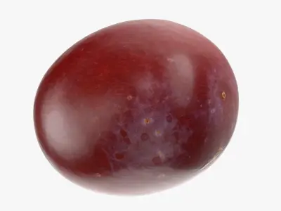 Grape Collection 2 3D model