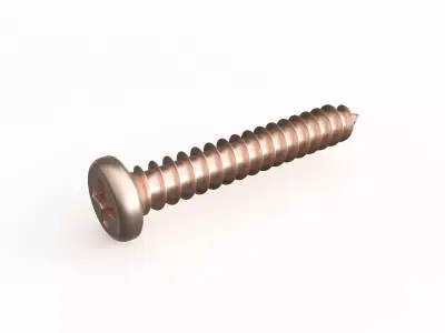 Screw 41 3D model