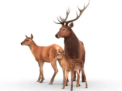 Red Deer Family 3D model
