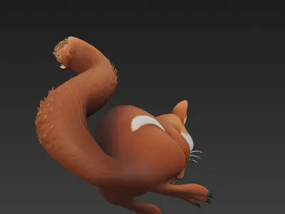 Squirrel Realistic 3D Model Basic - Low Poly Realistic Low-poly 3D model purchase