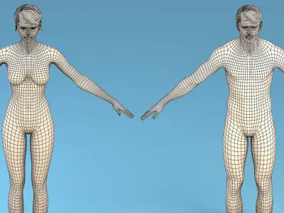 Base Character Male or female 3D model