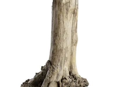  Tall Cut Bare Stump Model 