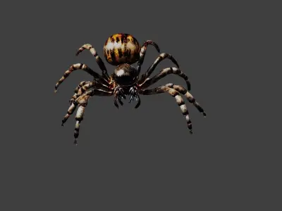 Spider Low-poly 3D model purchase