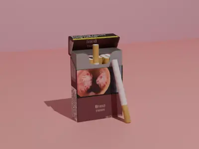 Pack of cigarettes 3D model