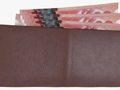 Canada 50 Dollar Wallet Money Purse 3D model