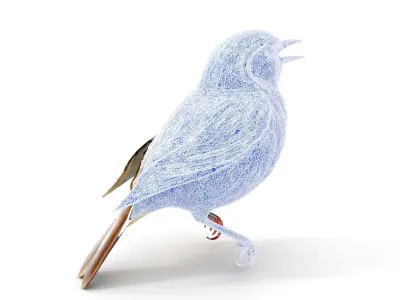 Realistic Bird Model Pack with Detailed Textures Low-poly 3D model