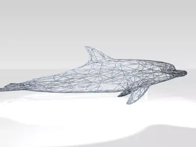 Dolphin Wireframe 3D model