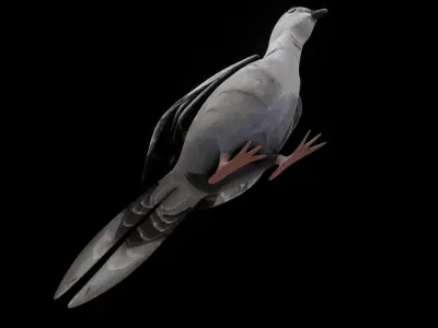 Fully Rigged Textured Animated Pigeon 3D model