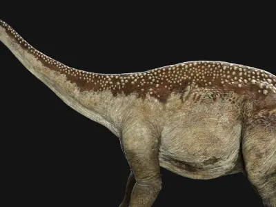 Argentinosaurus 3D (Rigged) 3D model