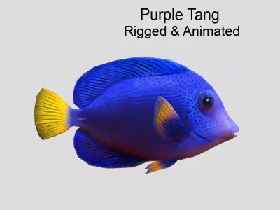 Purple Tang Realistic Animated Low-poly 3D model