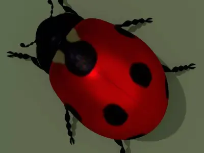 LowPoly Ladybug Low-poly 3D model