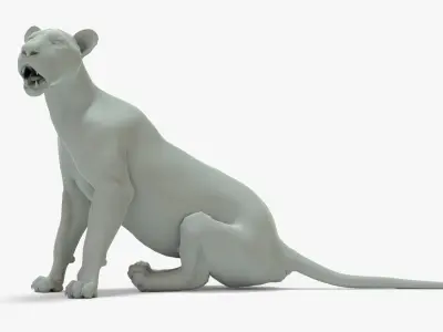 Lioness Rigged Basemesh Low-poly 3D model