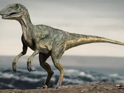 Velociraptor Animated Rigged 3D model Low-poly 3D model