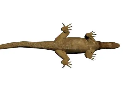 COMODO LOW POLY lizard 3D model