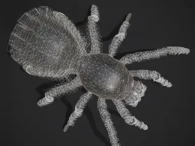 Black Spider Low-poly 3D model