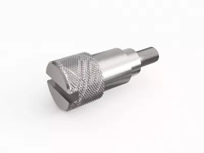 Screw 25 3D model