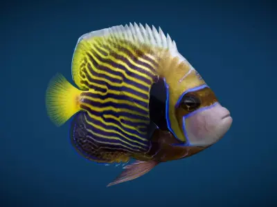 Manila Fish Low-poly 3D model