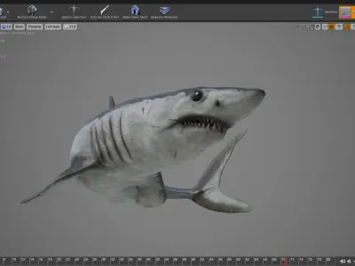 Mako Shark Low-poly 3D model purchase
