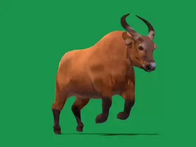 African Dwarf Forest Buffalo Free low-poly 3D model