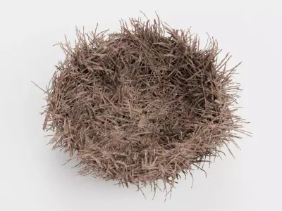 -Nest- 3D model