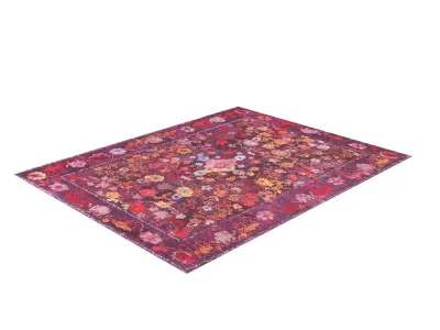 Gertrudis Medallion Rug  Free 3D model