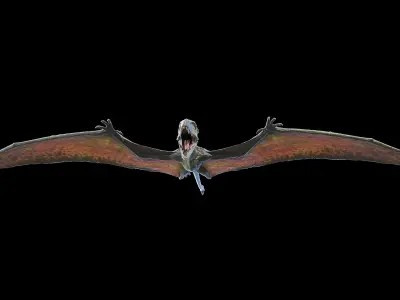 Dimorphodon 3D model