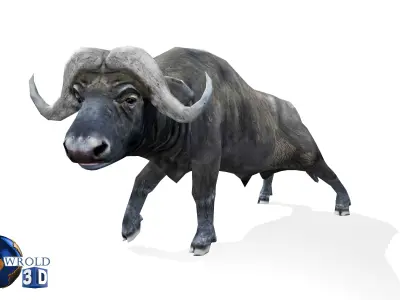 Buffalo rigged animated lowpoly 3d model Low-poly 3D model