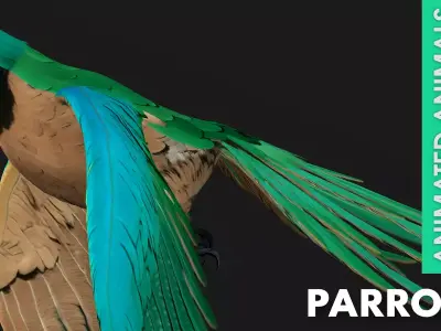 Parrot A5 Free 3D model