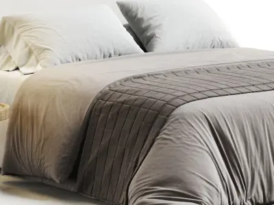 Meridiani Stone Bed 3D model