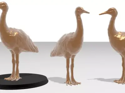 Crane Bird Realistic Free 3D model