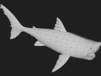 Shark Low-poly 3D model 20