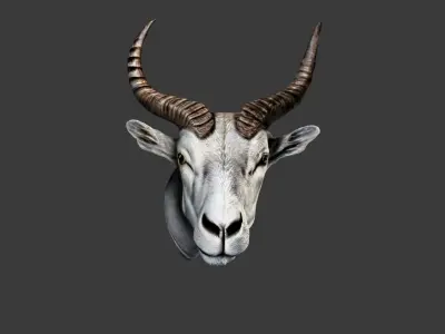 Deer Animal Head Low-poly 3D model 11