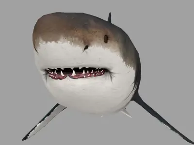 Animal - Shark Low-poly 3D model