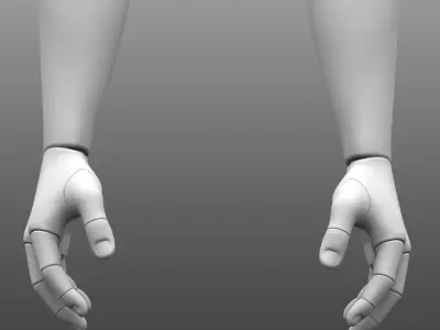 Solidworks Hands Poseable 3D model