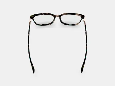 Esme Eyeglasses in Aventurine Tortoise with Polished Gold 3D model purchase
