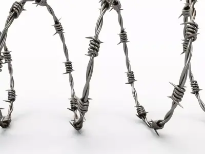 Barbwire 3D model
