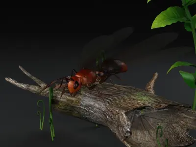 flying ant insect gameready bug wild kritrim 3D model