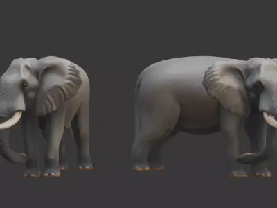 Elephant 3D scan print 3D model
