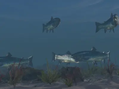 Fish Low poly Rigged 4K PBR Textures Game Ready  Low-poly 3D model