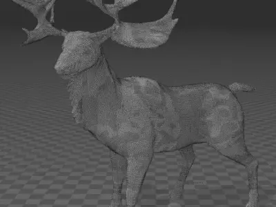 CERVALCES 3D print model