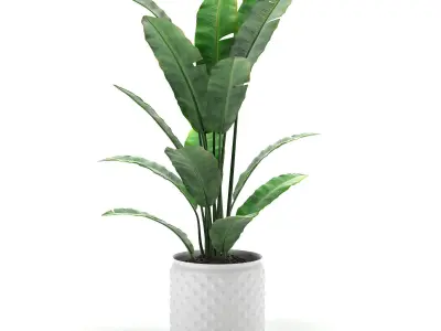 flower pot Low-poly 3D model purchase