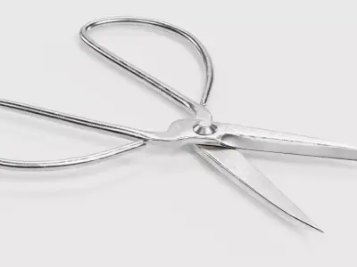 -Bonsai Scissors- 3D model