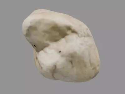 Small Rock 04 Free low-poly 3D model
